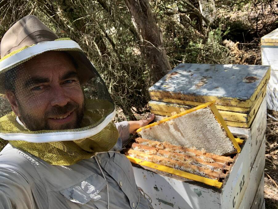 Victorian Apiarists' Association vice president Lindsay Callaway says he believes it's only a matter of time before Varroa mite is seen in Victoria. Picture supplied 