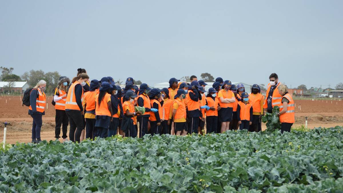 Forty-three new grants were announced to develop pathways for students to learn about careers in agriculture. The grants were announced at Velisha National Farms, Werribee South, who host regular school groups like this one. Picture supplied 