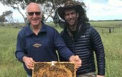 Leigh Duffield with professional beekeeper Itai Kanot from the United States, inspecting bee hives last year. Picture supplied 