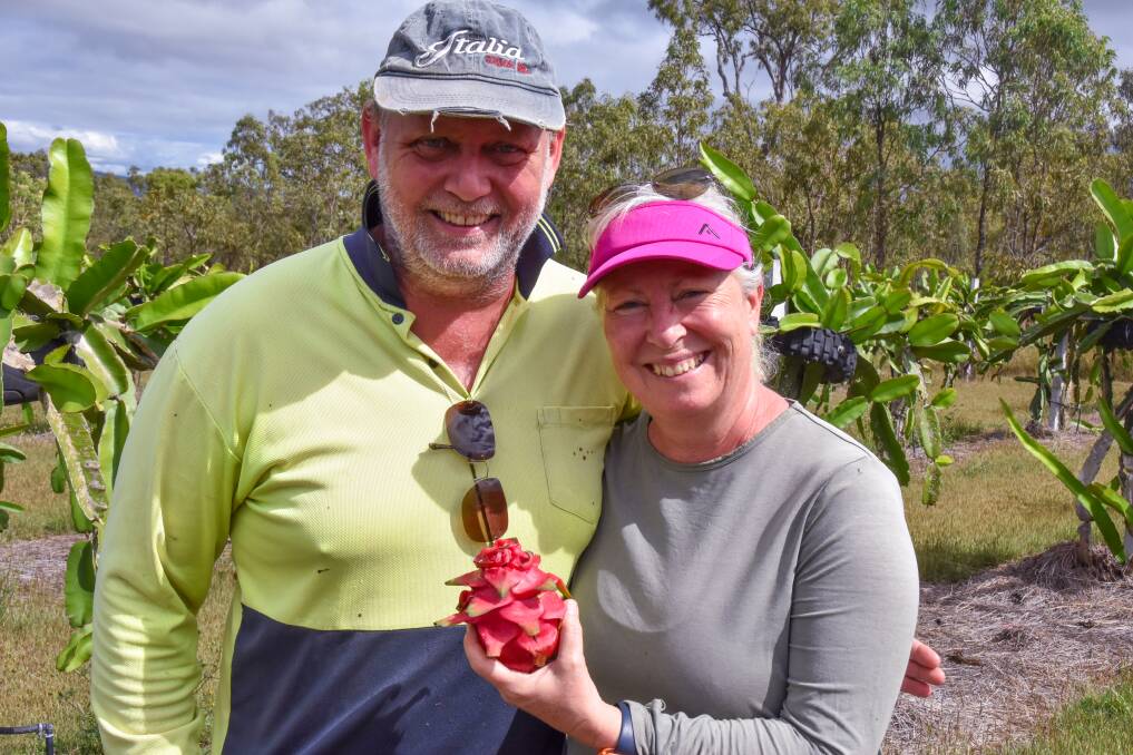 Lena and Per Andersen started growing dragonfruit near Mareeba just more than five years ago. Picture by Phil Brandel