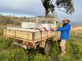 Scenic Rim apiarist Jason Wilson said he's concerned about Varroa mite and Asian honey bee threats and urged all beekeepers to regularly check their hives for pests. Picture supplied 