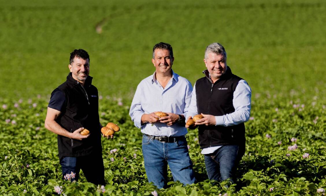 Darren, John and Frank Mitolo from Mitolo Family Farms after winning the 2021 Coles Fresh Produce Supplier of the Year Award. Picture supplied