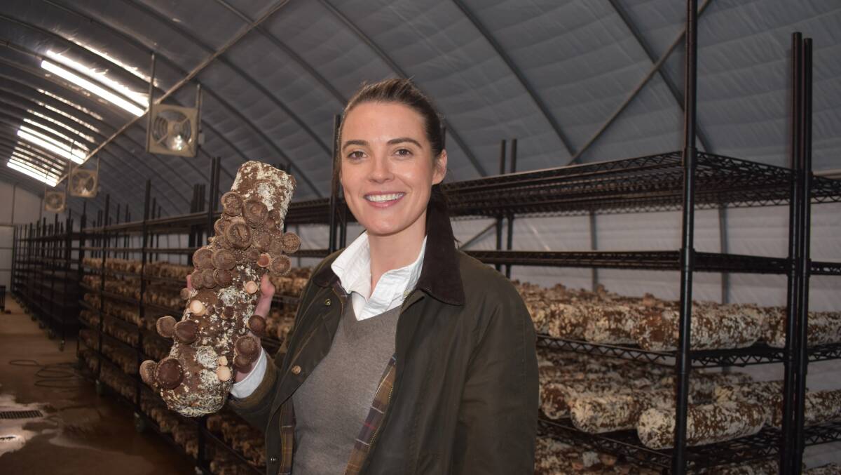 Bulla Park organic mushroom company chief executive Georgia Beattie with a shiitake mushrooms - she'll be presenting at a United Nations conference on food waste, in Rome, in October. Picture by Andrew Miller