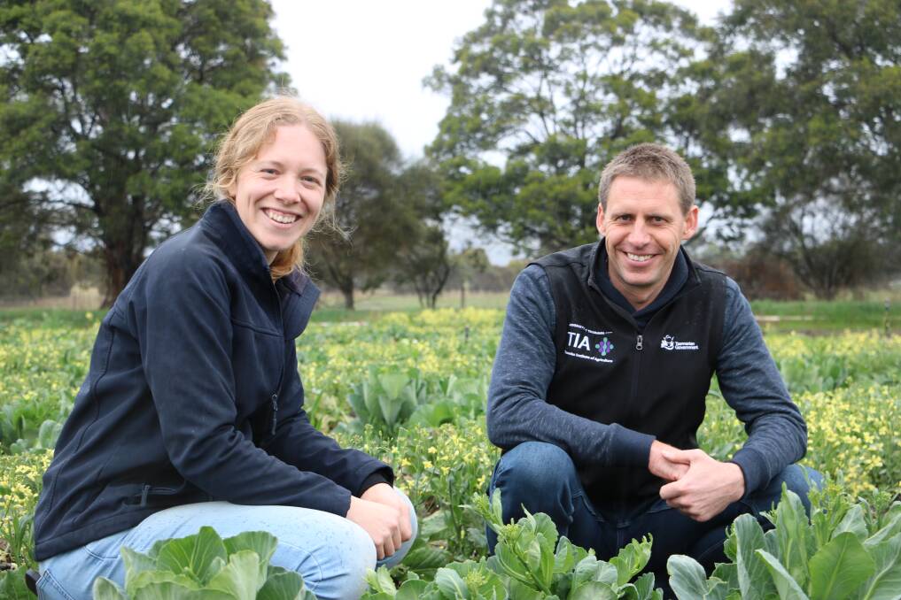 Research production manager at Bejo Tasmania Ashlea Schott and Horticulture Centre leader at the Tasmanian Institute of Agriculture Dr Nigel Swarts. Picture supplied
