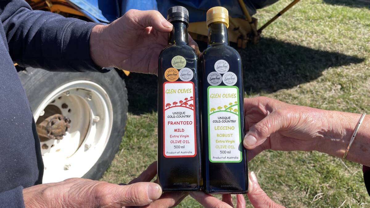 The Hartwin's gold and silver medal-winning Frantoio and Leccino olive oils. Picture by Simon Chamberlain