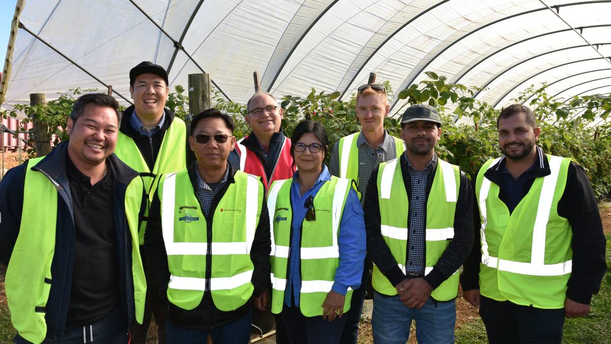 Some of the latest members to join the Lindsay Rural team, including (rear) Paul Truong, James Dunn and Warick Bellert and (front) Tan Nguyen, Chau Hoang, Marija Tromp and Pardeep Kumar with Michael Singh. Picture supplied