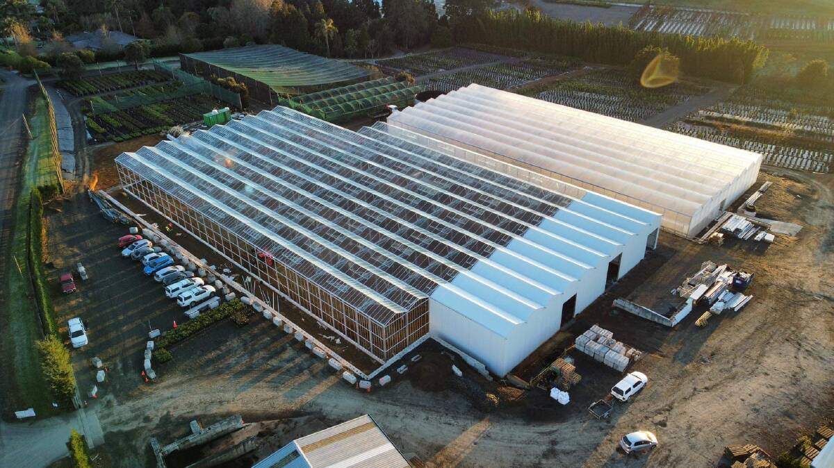Apex Greenhouses constructs large scale commercial structures for the horticultural industry in Australia and New Zealand. Picture supplied