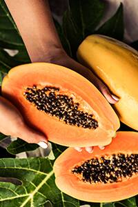 TARGET: The new papaya brand is aimed directly at a younger target audience including young families, millennials, Gen Y and Gen X who care about their general health and wellbeing..