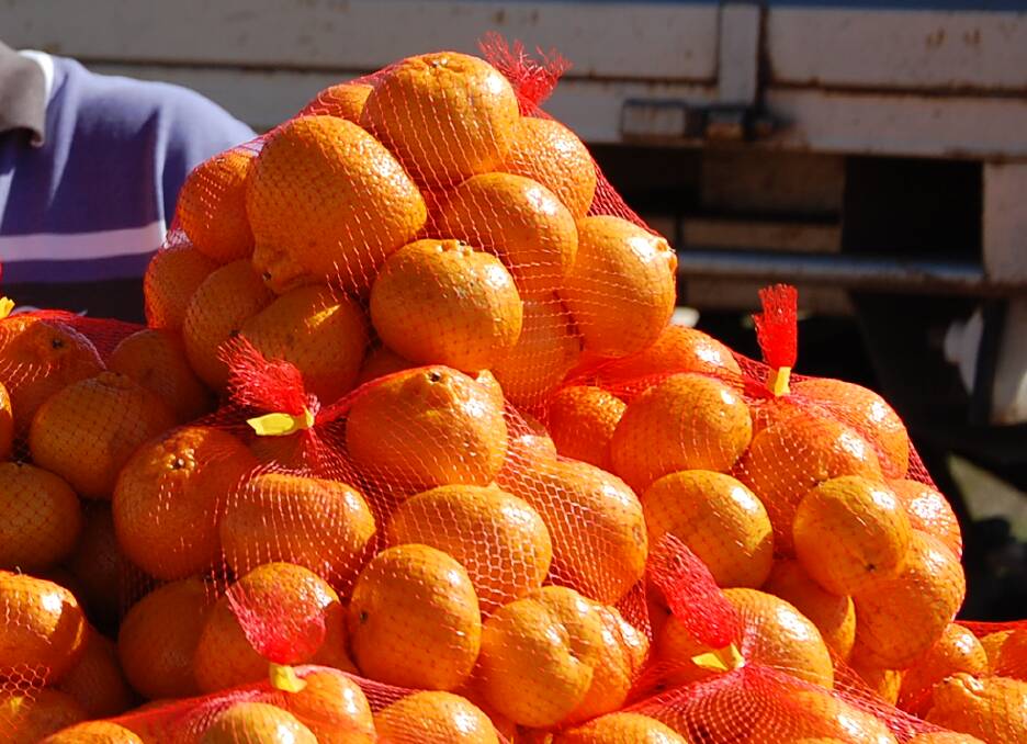 Mandarin production, which continues to expand across the country, saw some mixed results this year. File picture