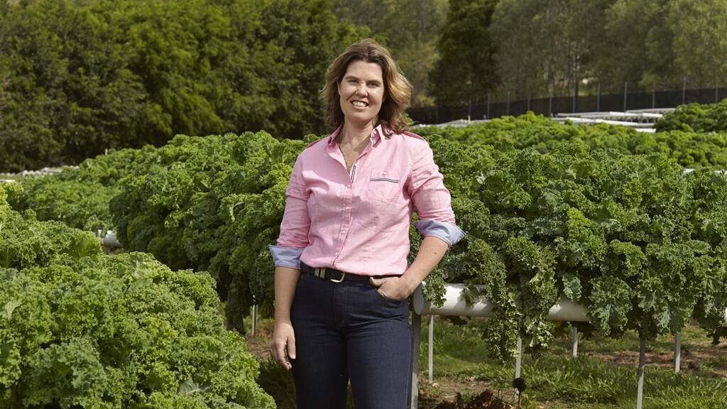 Coastal Hydroponics and Salad Makers director, Belinda Frentz, says the new integrated temperature-controlled monitoring system will help increase production, enabling produce to be processed, stored and distributed from greenhouse to consumer within one day. Picture supplied