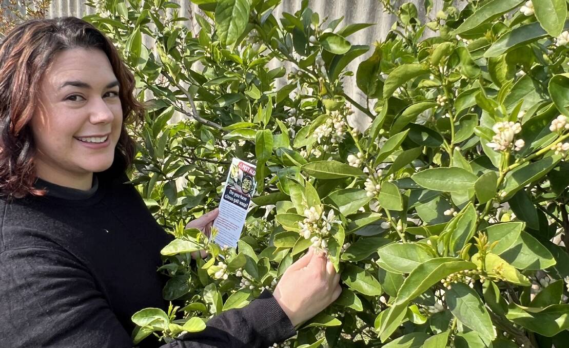 WA Department of Primary Industries and Regional Development research scientist, Rachelle Johnstone, is encouraging home gardeners, particularly in regional areas, to take action to stop the spread of citrus gall wasp. Picture supplied 