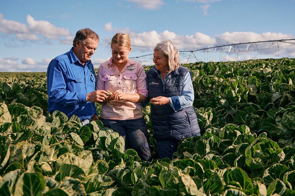 Caitlin Radford (centre) with her parent, Shane and Sharni, within a crop of Brussels sprouts. Picture by Rabobank
