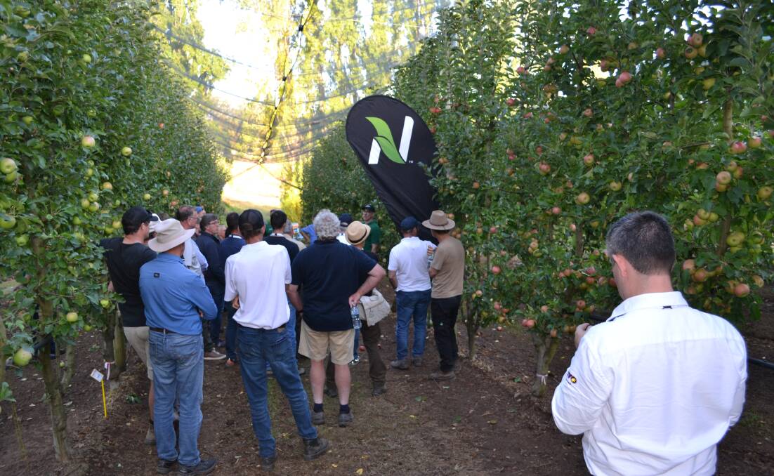 Scott Paton presenting to the grower group during a field walk. Picture supplied
