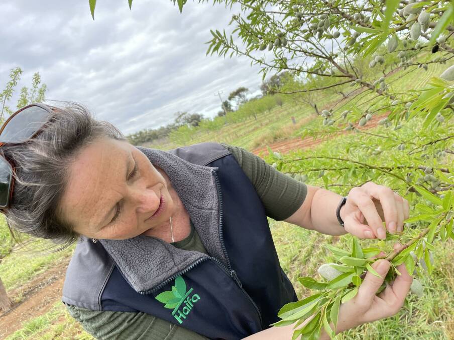 Sheri Robinson, southern agronomist with Haifa Australia, says growers need to be careful in choosing the correct iron chelate for their soil type. Picture supplied 
