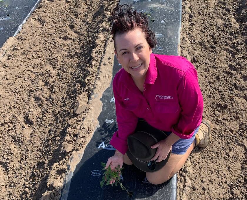North Queensland organic smallcrops producer, Jess Volker, Peakfresh Products, Bowen, says using biodegradable mulch gives peace of mind she isn't adding to Australia's waste problem. Picture supplied