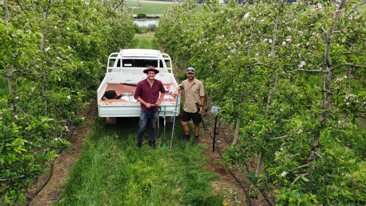 DPIRD research scientist Bill Bateman (left) and Manjimup apple grower Mark Bamess surveying for suitable orchard locations to install the soil moisture sensors to boost water use efficiency and profitability. Picture supplied