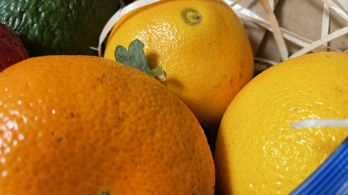 Australian citrus production has delivered a positive 2023 season, according to Citrus Australia. File picture