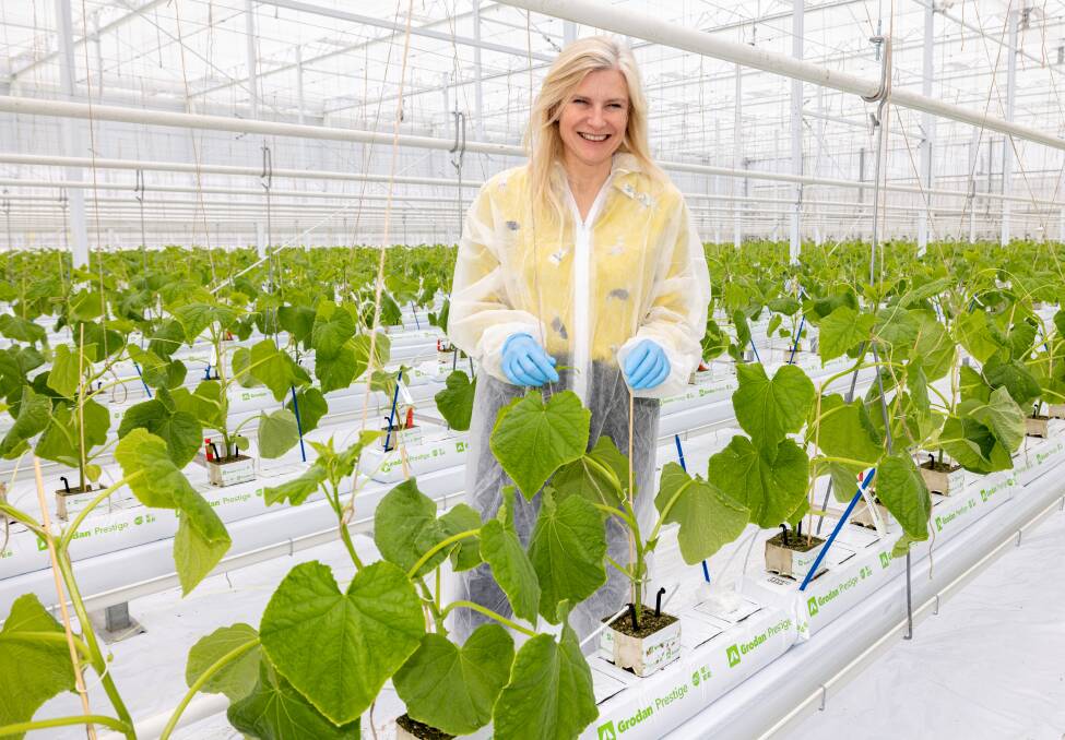 Bayer Vegetable Seeds ead of protected crops, Anne Williams, says reducing carbon will require a more reliable product, one that is more likely to be purchased and eaten by the consumer, and that will hold its quality along the cold chain. Picture supplied