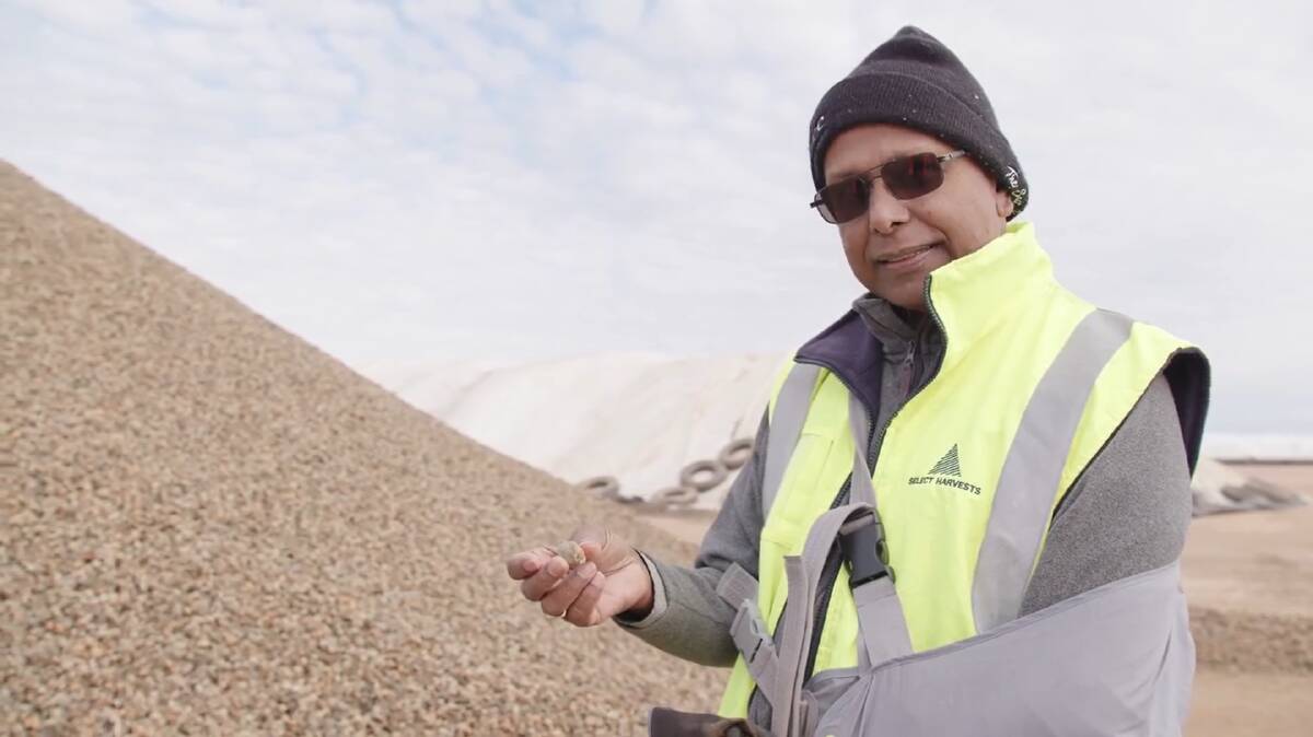 Select Harvests senior technical officer, Upul Gunawardena, says the company is looking at various cost-effective ways of using almond waste. Picture supplied