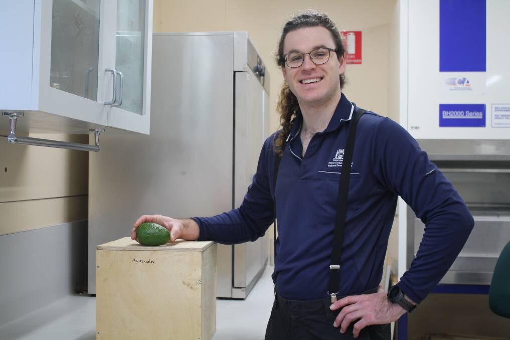 DPIRD research scientist Declan McCauley is working on a national project to improve the robustness of avocados. Picture supplied