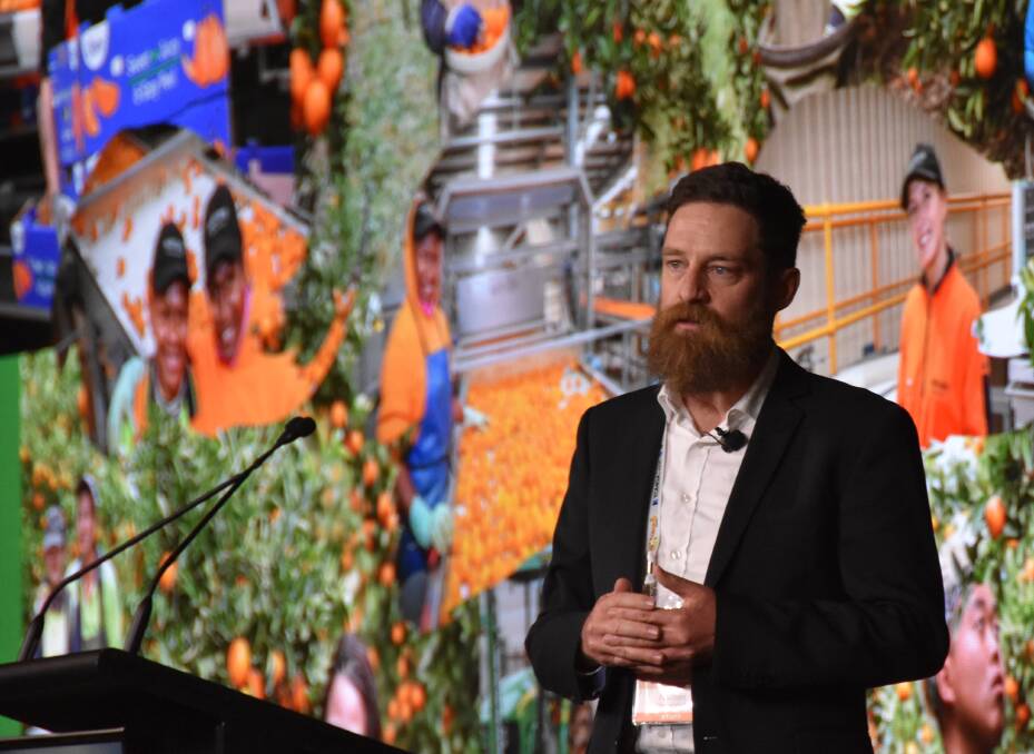 Citrus Australia CEO Nathan Hancock says overall, fruit cosmetics this season have been very good. Picture by Ashley Walmsley