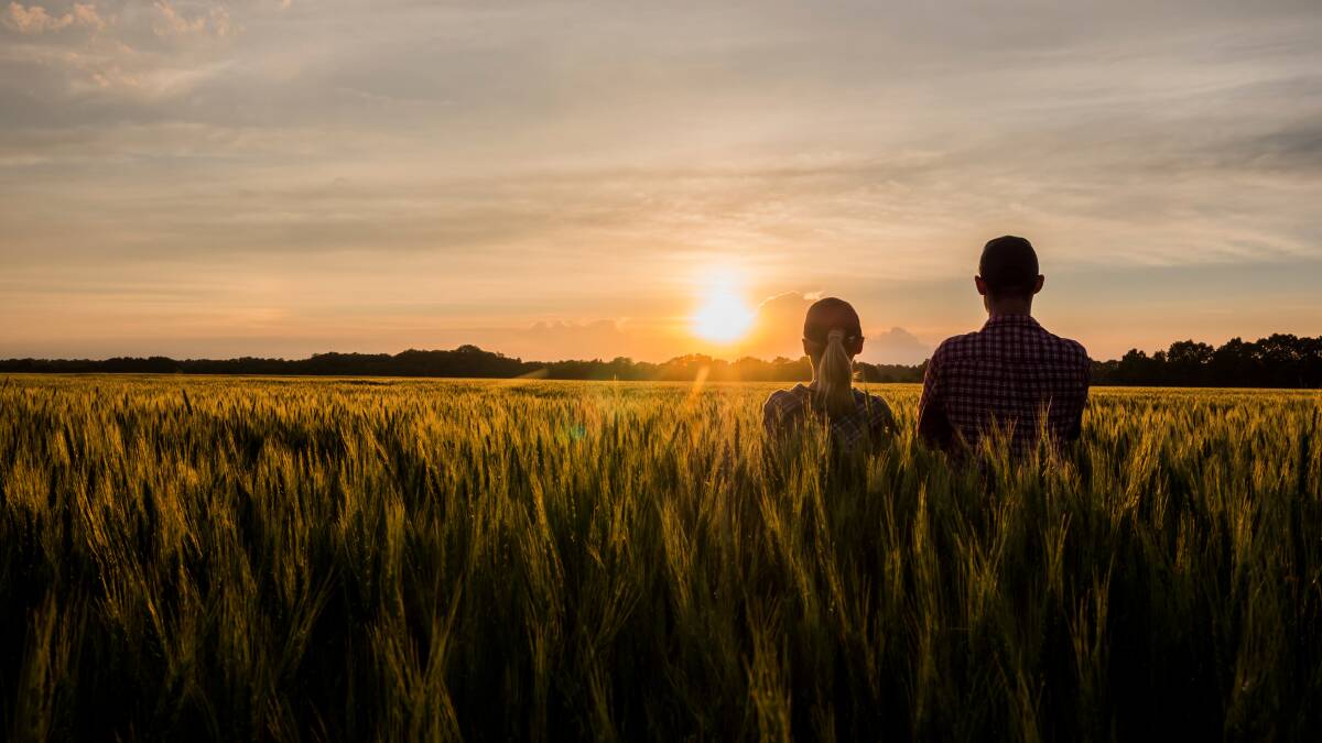 Despite increasing cost and climate pressures, farmers worldwide are generally optimistic about the future, a global agricultural survey has found. Picture Shutterstock
