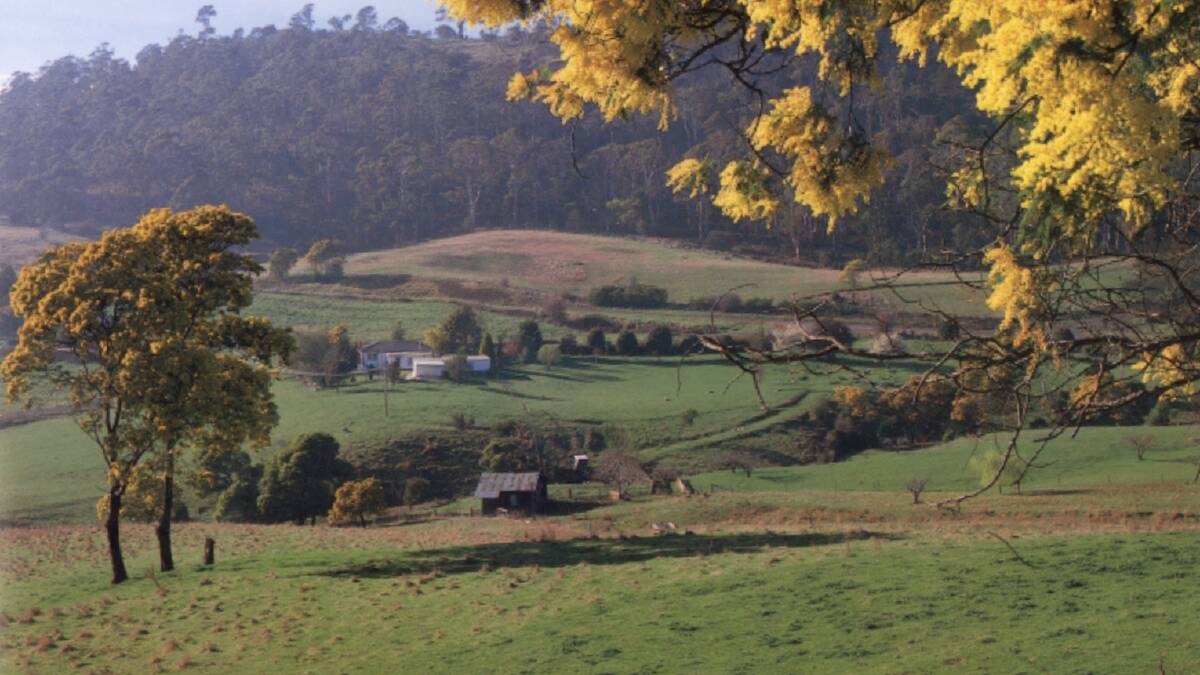 SCENE: Although smaller in scale to its mainland counterparts, Tasmanian agriculture provides plenty of picturesque scenes and tourism attraction. 