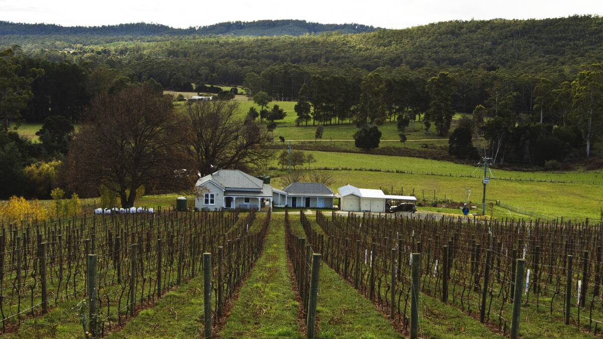 VIEW: There is plenty to appreciate within the Tasmanian agricultural landscape. 
