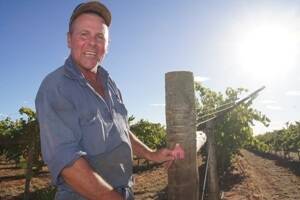 Richie Hayes with his Menindee seedless table grape vines, grown on Rocky Hill, near Alice Springs, Northern Territory.