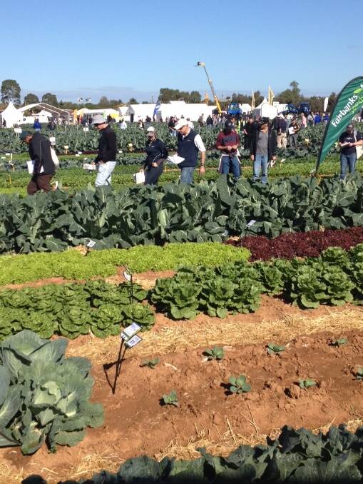 The National Vegetable Expo in Werribee, Victoria attracted visitors from far and wide interested in seeing the latest in new vegetable lines, machinery, products and services.