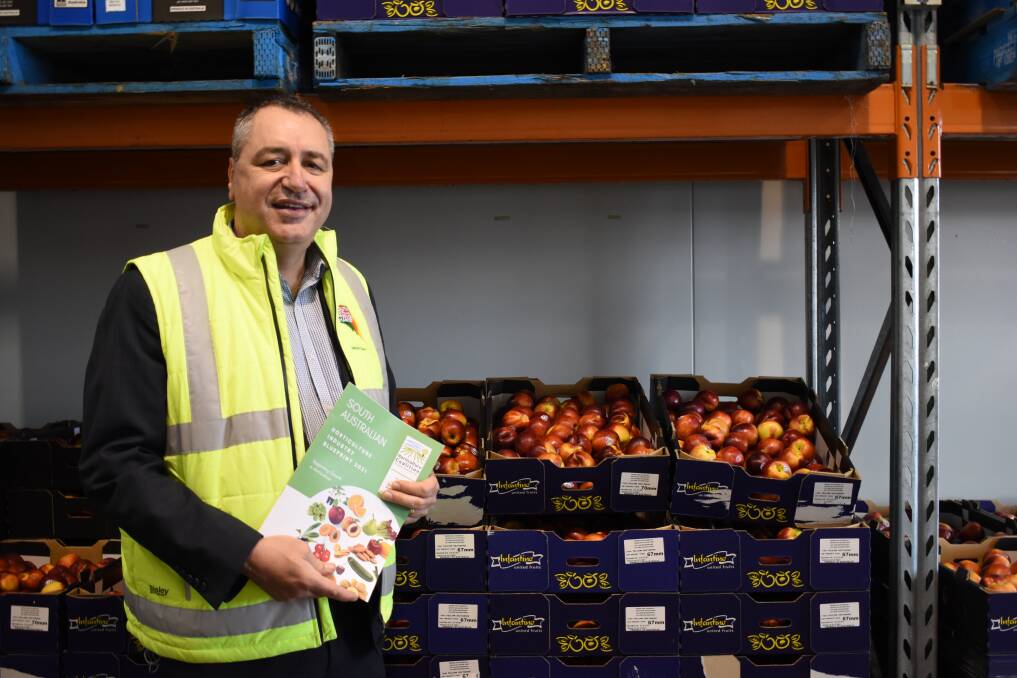 Horticultural Coalition of SA chair and SA Produce Markets chief executive officer Angelo Demasi said robotics and ag tech were the next options for skilled labour. Picture by Kiara Stacey.