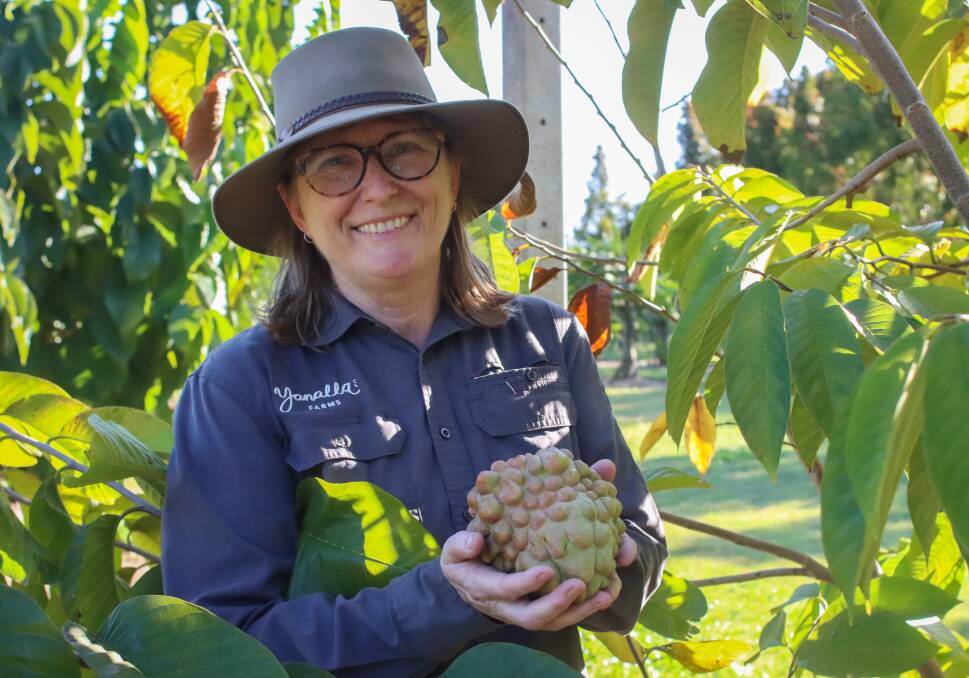 Karen Martin, Yanalla Farms with one of the PinksBlush custard apples. Picture by Melanie Groves 