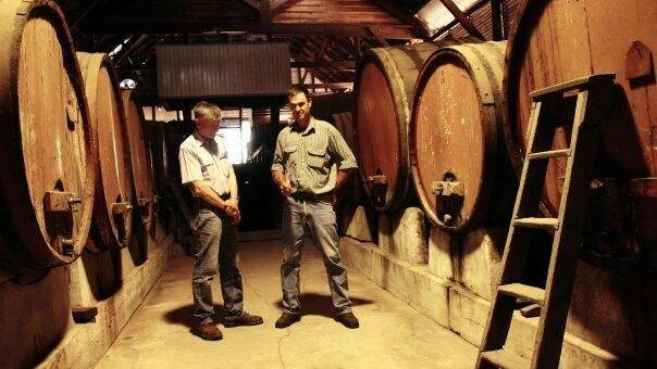 David and Richard Wall in the Romavilla wine cellar. Picture by the Wall family